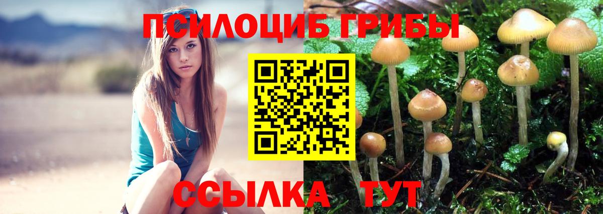 Псилоцибиновые грибы мухоморы  Вход с VPN  Красноармейск 